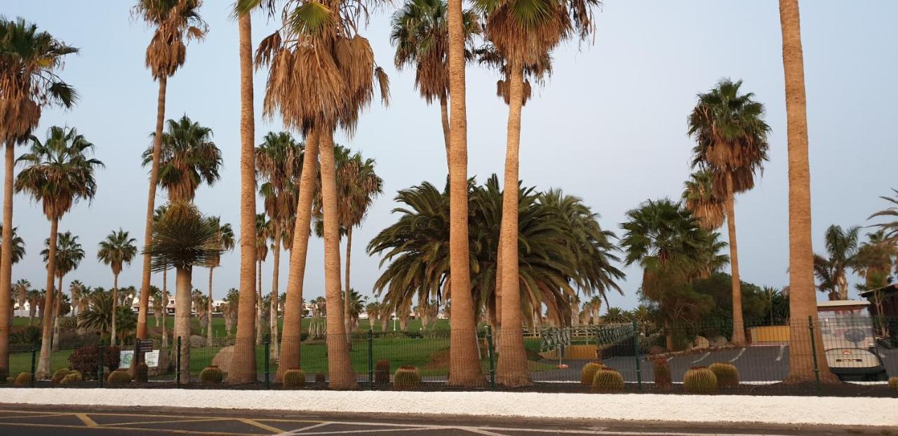 El Medano, La Tejita Apartment ภายนอก รูปภาพ